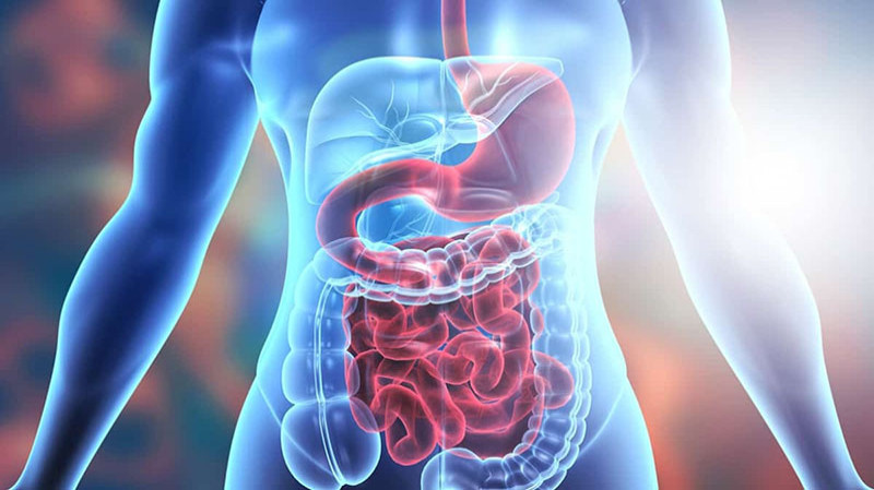 Digestive Disorders